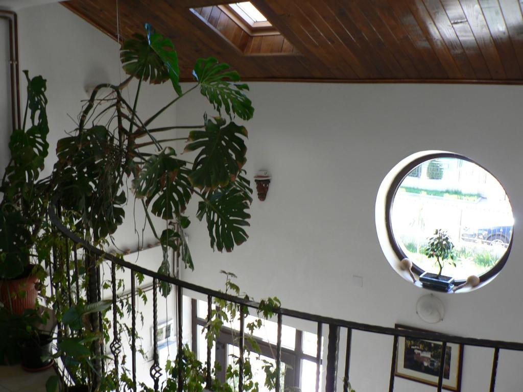 Casa Havana (Adults Only) Costinesti Exterior foto